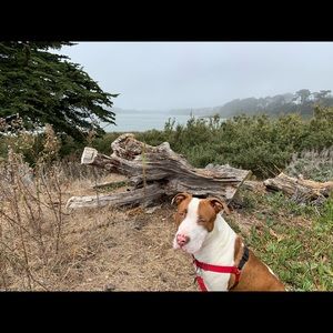 Meet your Posher, Blanca